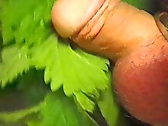 Fun in my Garden 3