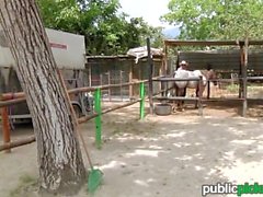 Mofos - Save a horse ride a cock