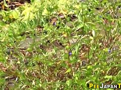 Japanese students peeing