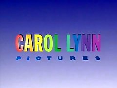 Erbe der Lust - Carol Lynn 1991 Harry S. Morgan
