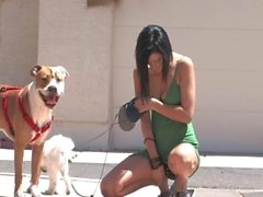 she walks her dogs and flashes her bonanzas