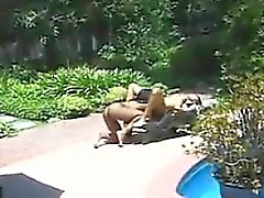 Black Lesbians Outdoors Near The Pool